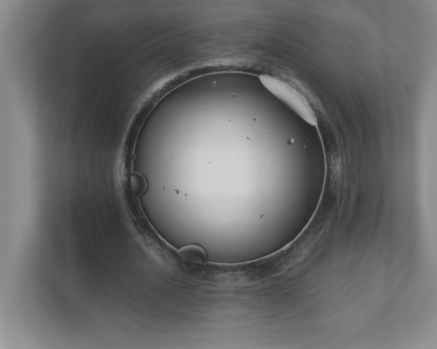 X0000110770628200906221143