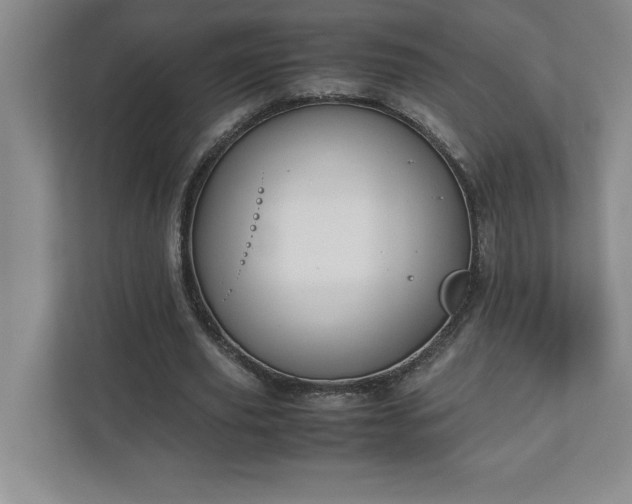 X0000110770629200906221143