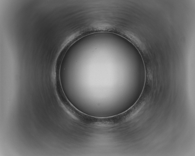 X0000110770630200906221143