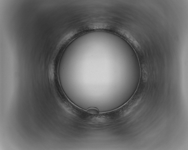 X0000110770631200906221143