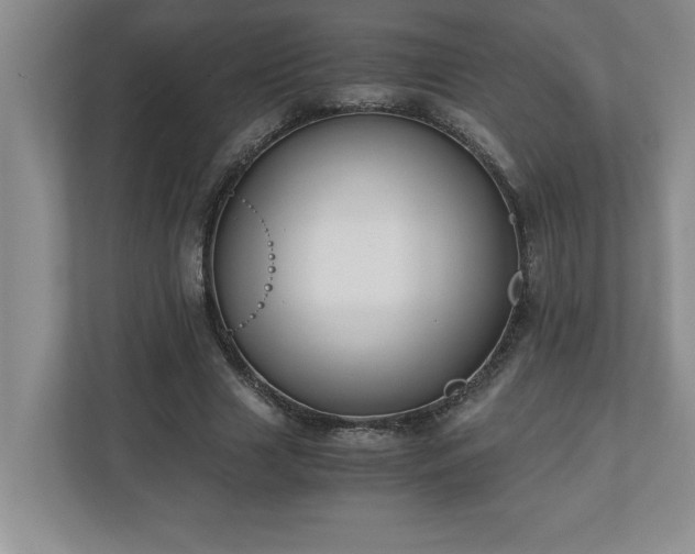 X0000110770633200906221143