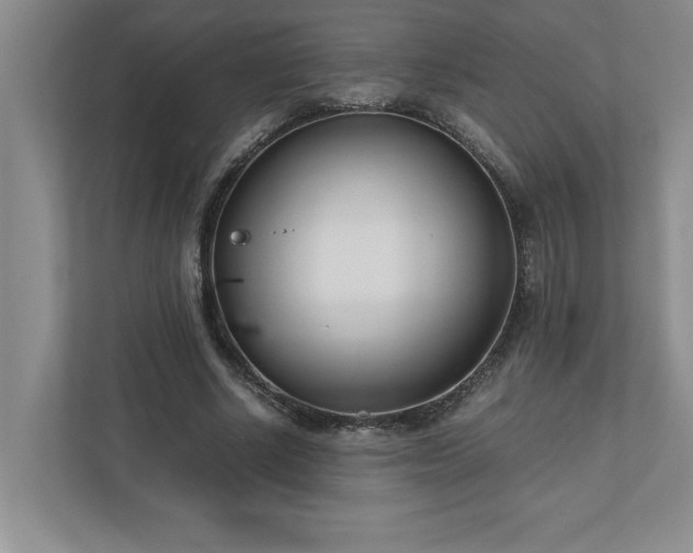 X0000110770634200906221143