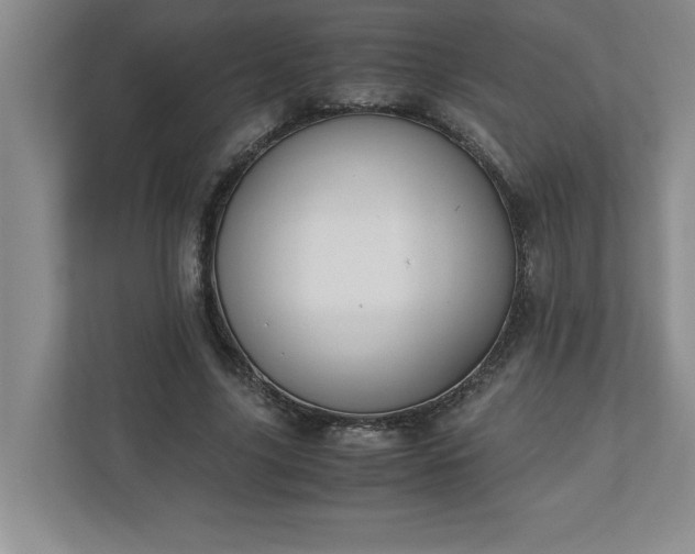 X0000110770635200906221143