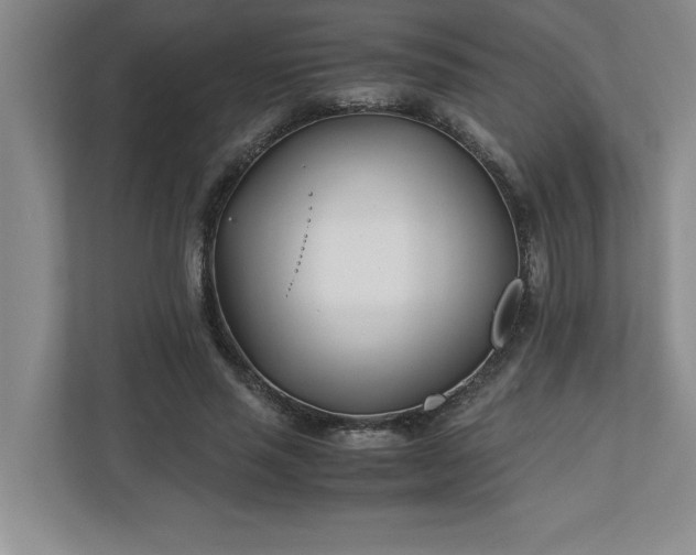 X0000110770637200906221143