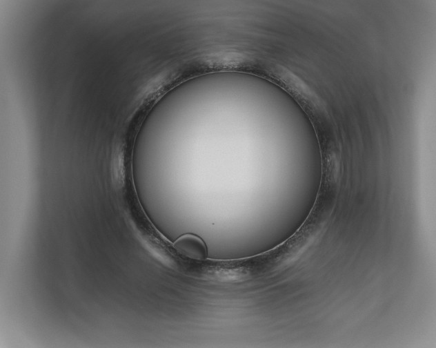 X0000110770638200906221143