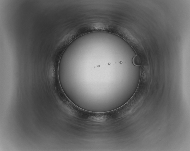 X0000110770639200906221143