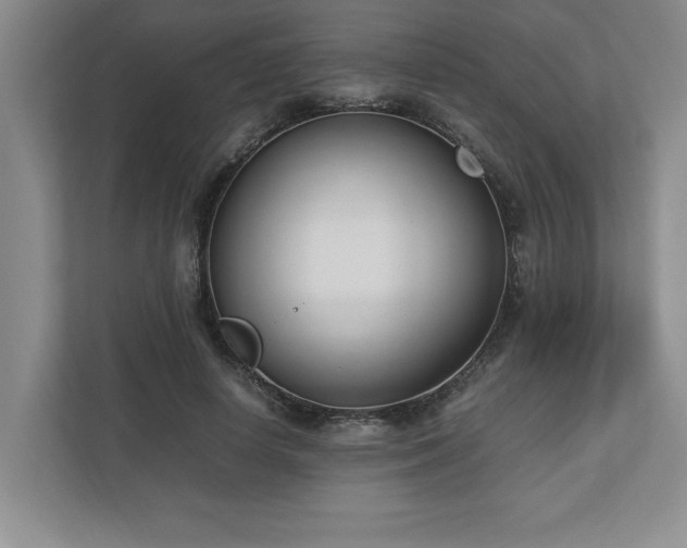 X0000110770642200906221143