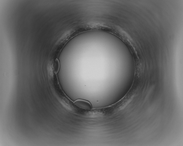 X0000110770644200906221143