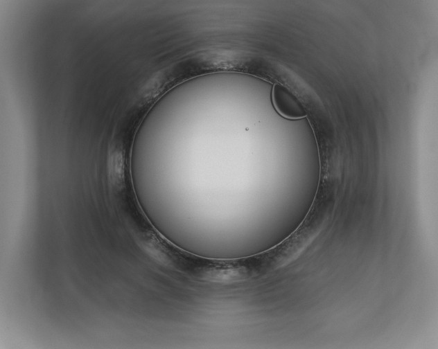 X0000110770646200906221143