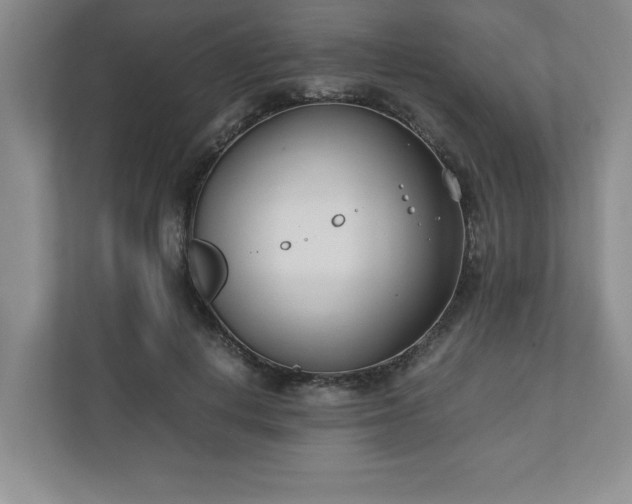 X0000110770648200906221143