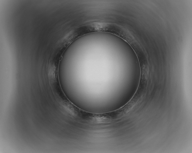 X0000110770650200906221143