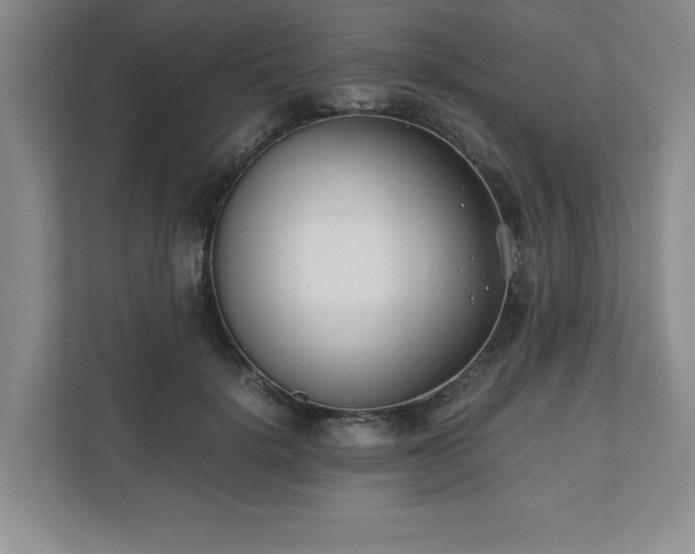 X0000110770652200906221143