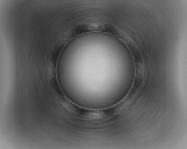 X0000110770659200906221143