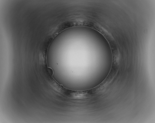 X0000110770661200906221143