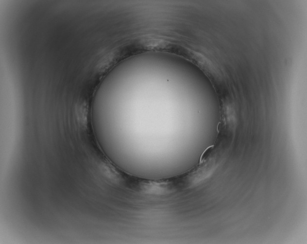 X0000110770664200906221143