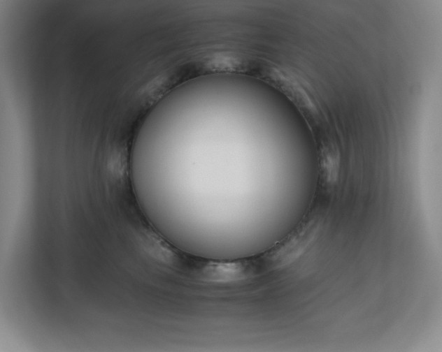 X0000110770665200906221143