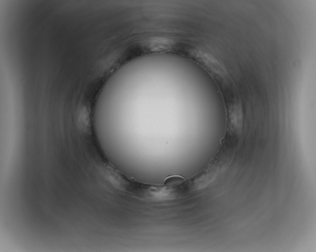 X0000110770667200906221143