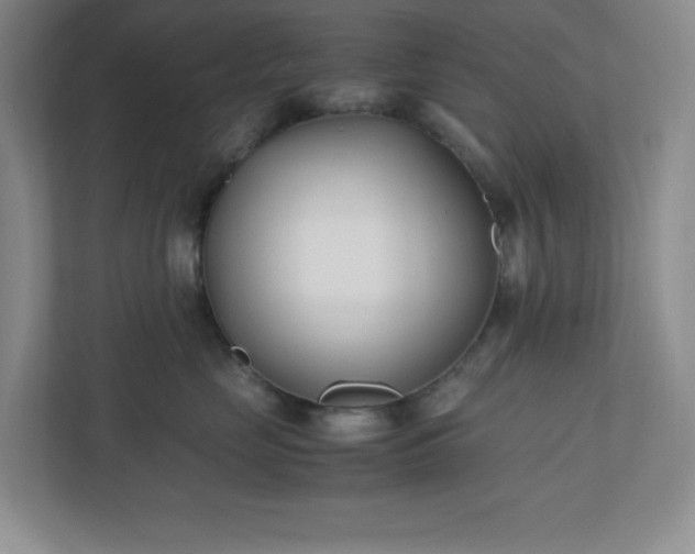 X0000110770669200906221143