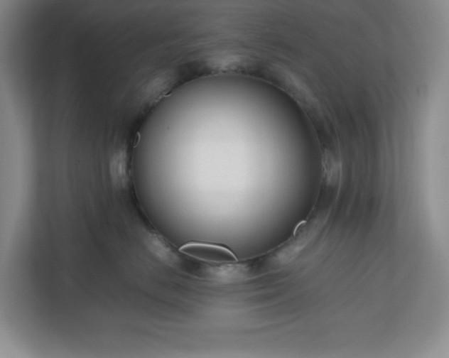 X0000110770670200906221143