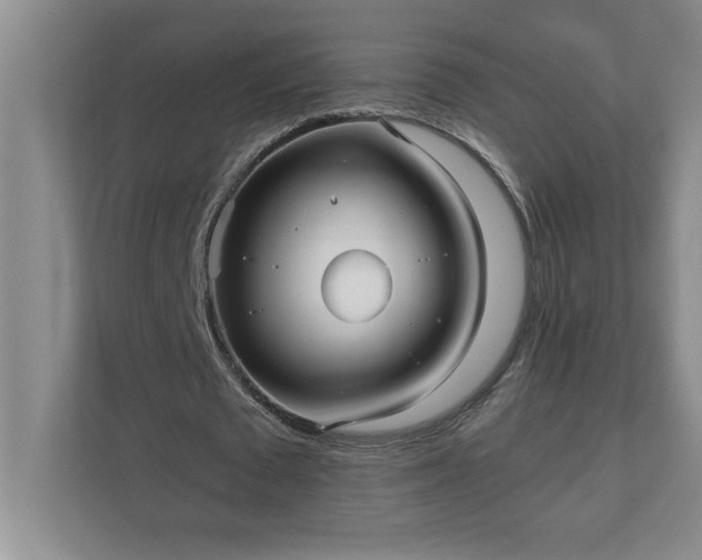 X0000110770673200906221143