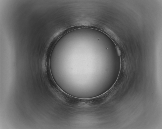 X0000110770680200906221142