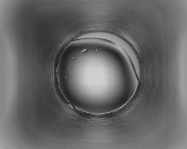 X0000110770681200906221142