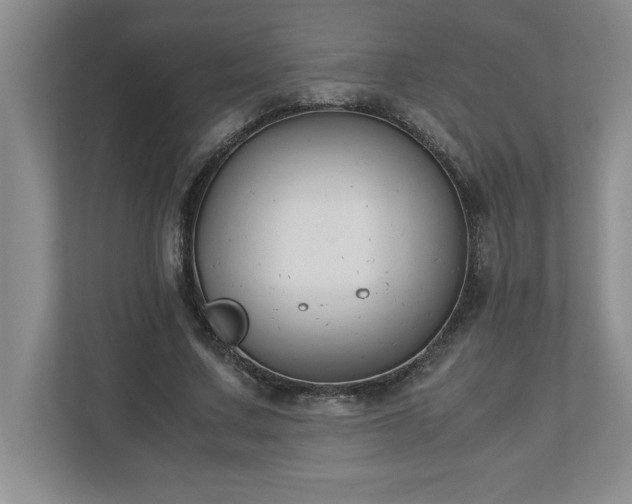 X0000110770683200906221142