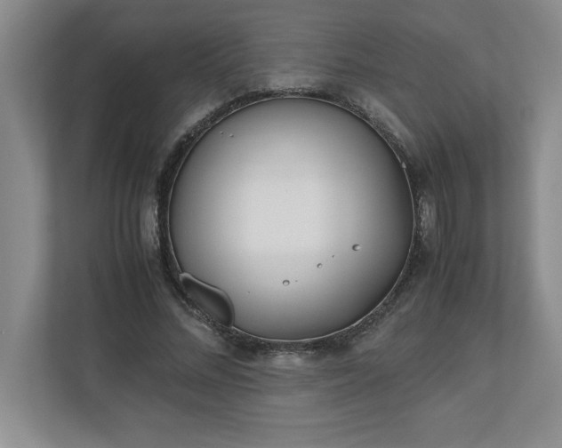 X0000110770684200906221142