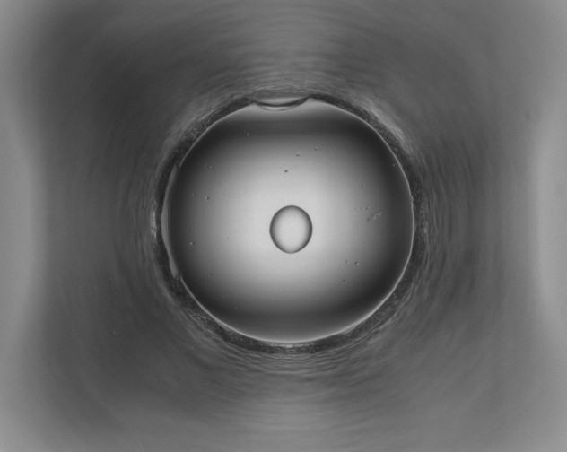 X0000110770685200906221142