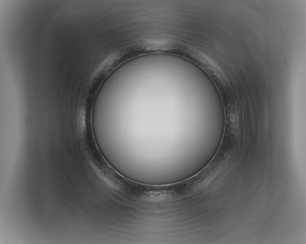 X0000110770686200906221142