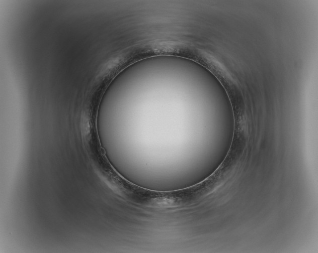 X0000110770687200906221142