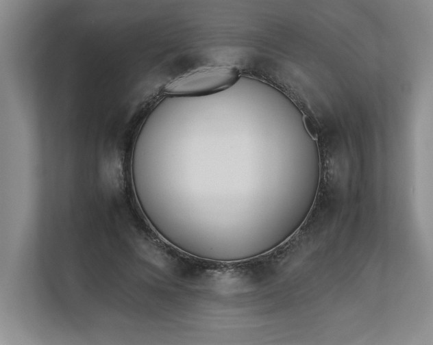 X0000110770688200906221142