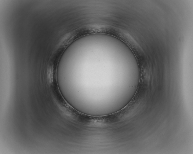 X0000110770694200906221142