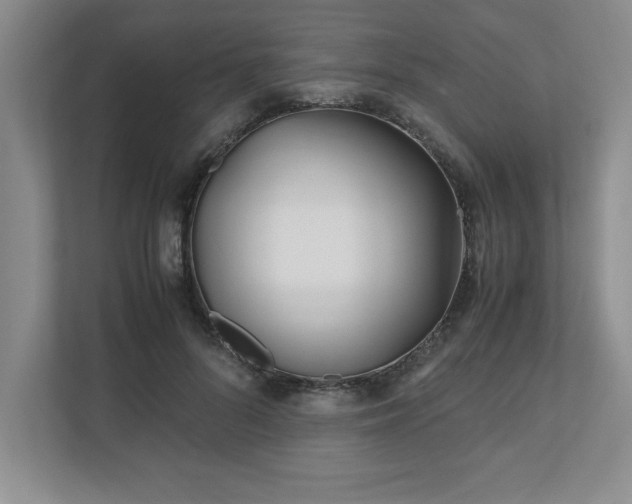 X0000110770696200906221142