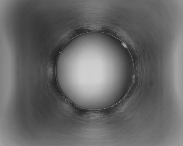 X0000110770697200906221142