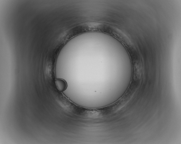 X0000110770698200906221142