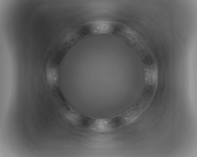 X0000110770701200906221142