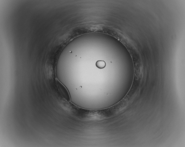 X0000110770704200906221142