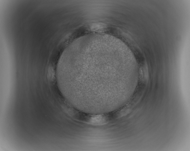 X0000110770705200906221142