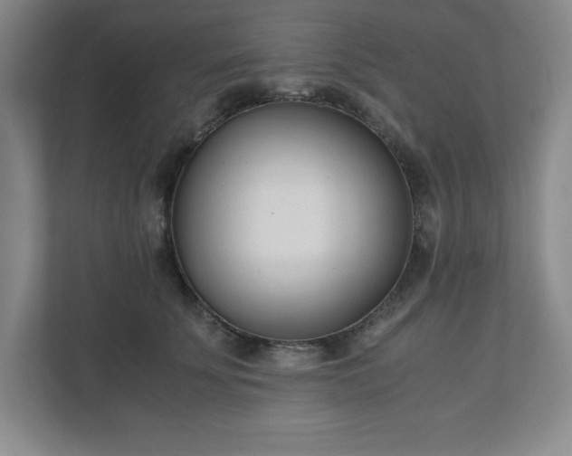 X0000110770707200906221142