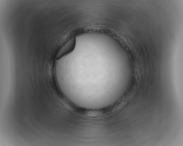 X0000110770708200906221142