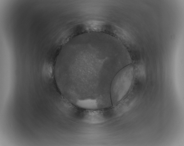 X0000110770709200906221142