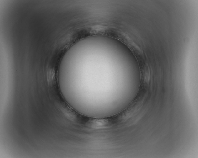 X0000110770711200906221142