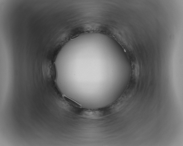 X0000110770712200906221142