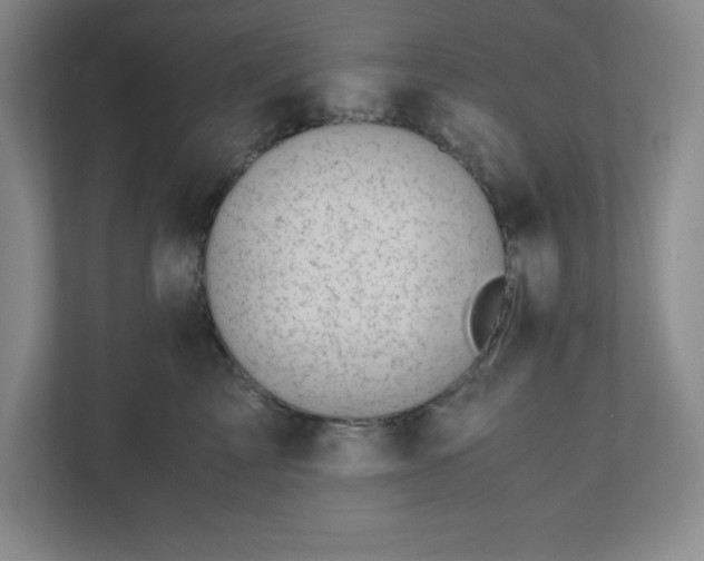 X0000110770713200906221142