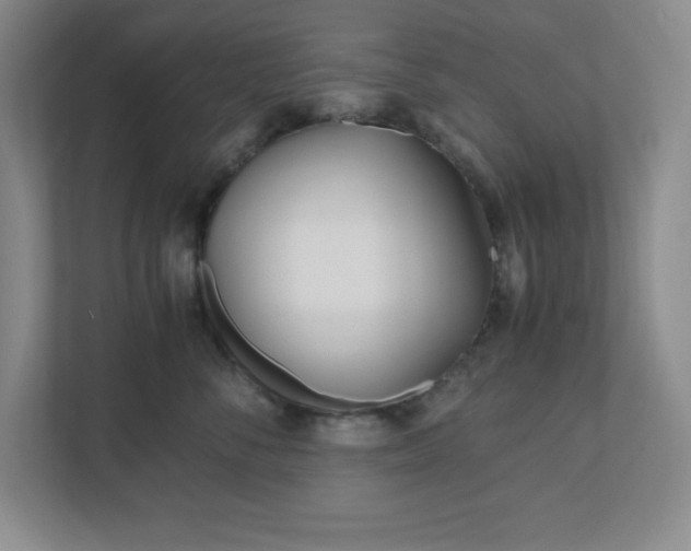 X0000110770716200906221142