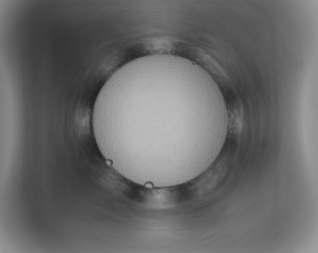 X0000110770717200906221142