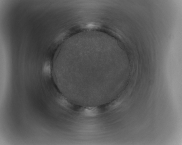 X0000110770720200906221142