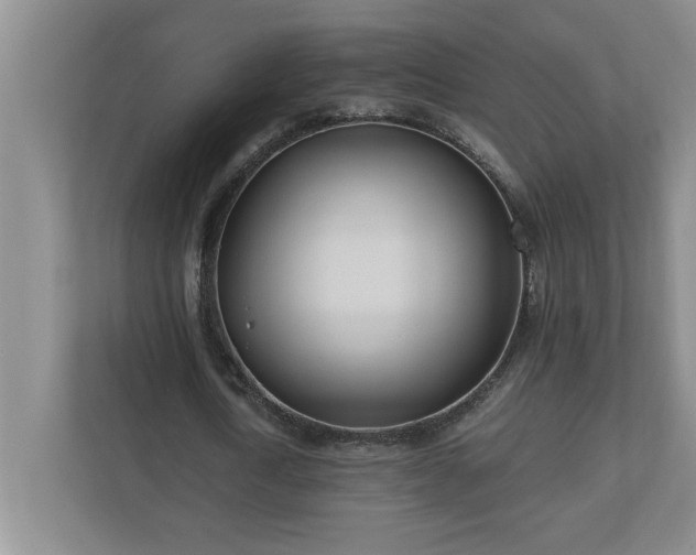 X0000110770722200906221141