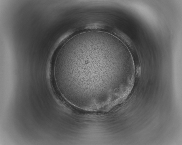 X0000110770724200906221141